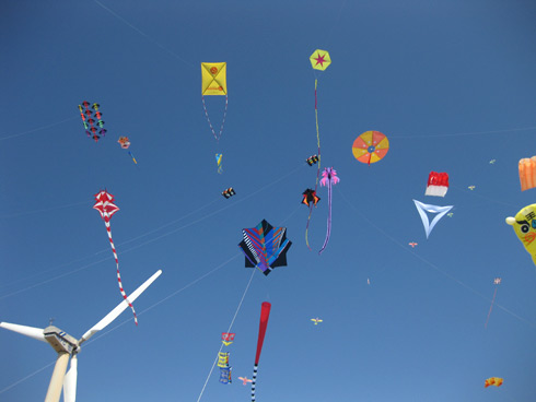 Mandvi Beach kites