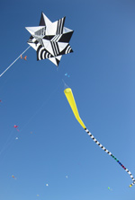 Optica kite with tube tail