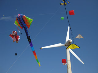 Kites over Mandvi beach