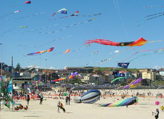 Kites on Bondi beach