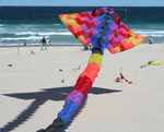 Kite on Bondi beach