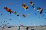 fano kites