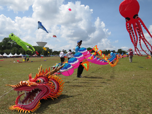 Chinese dragon kite