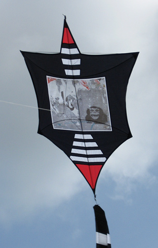 rebel kite