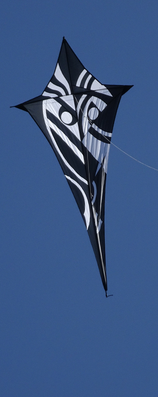 Face kite