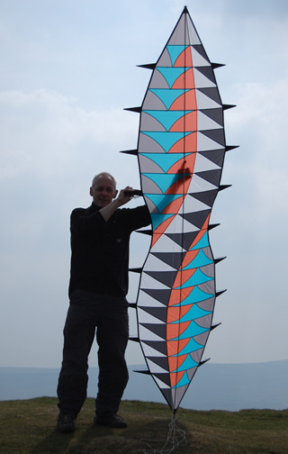Wave kite
