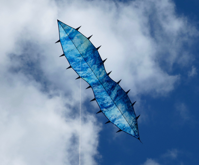 Painted Wave kite