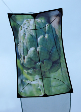 artichoke kite