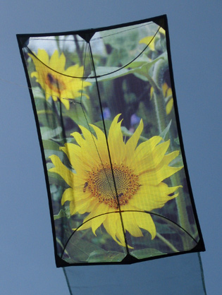 sunflower kite