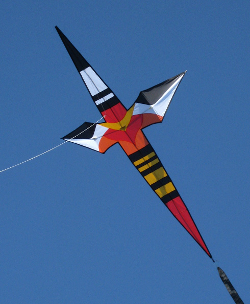 gull wing kite kite